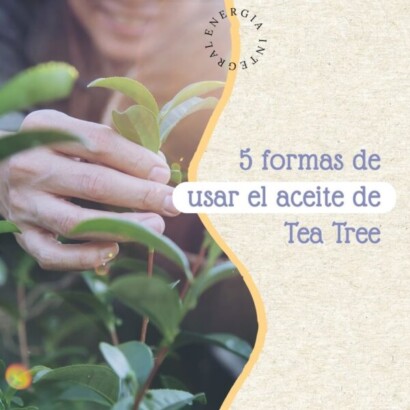 5 formas de usar aceite de tea tree