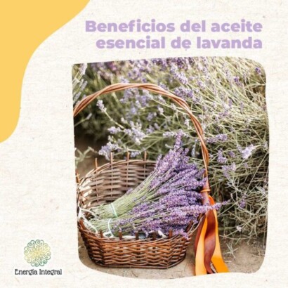 beneficios del aceite de lavanda