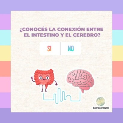 conoces la conexion entre el intestino y el cerebro